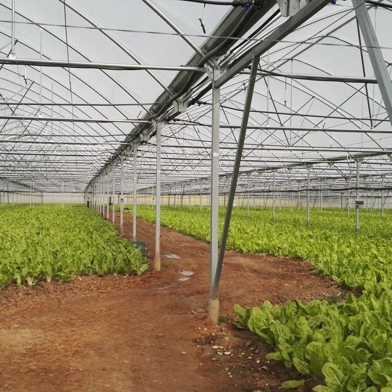 Plástico invernadero 800 galgas 3000ppm amarillo ¡al corte! - Sectoruno