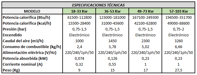 Calentador gas electrónico